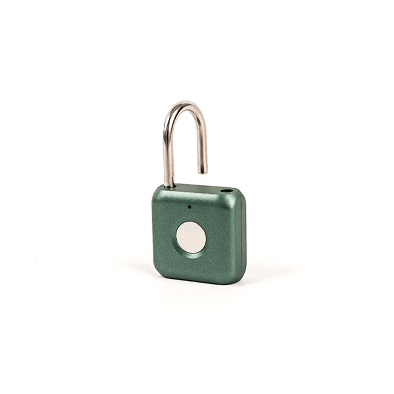 0,1 kg carburated stalen materiaal vingerafdruk hangslot